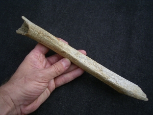 Cro Magnon Femur